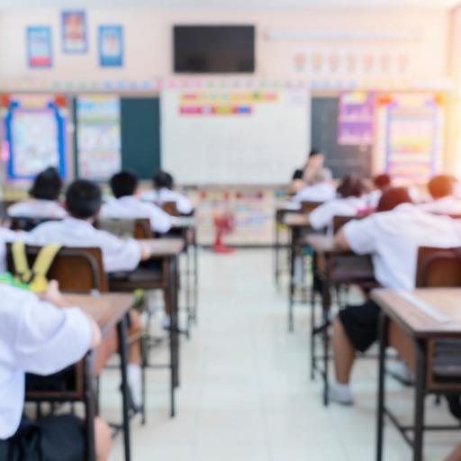 Education & Skill Development